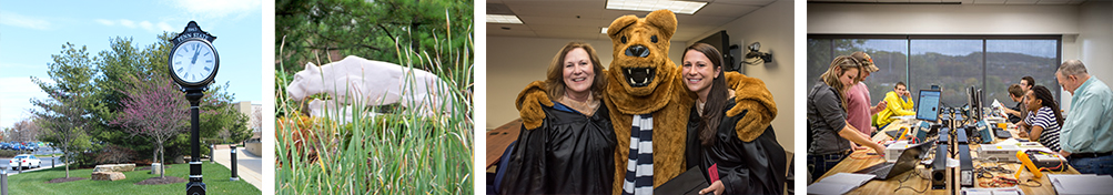 Collage of campus photos