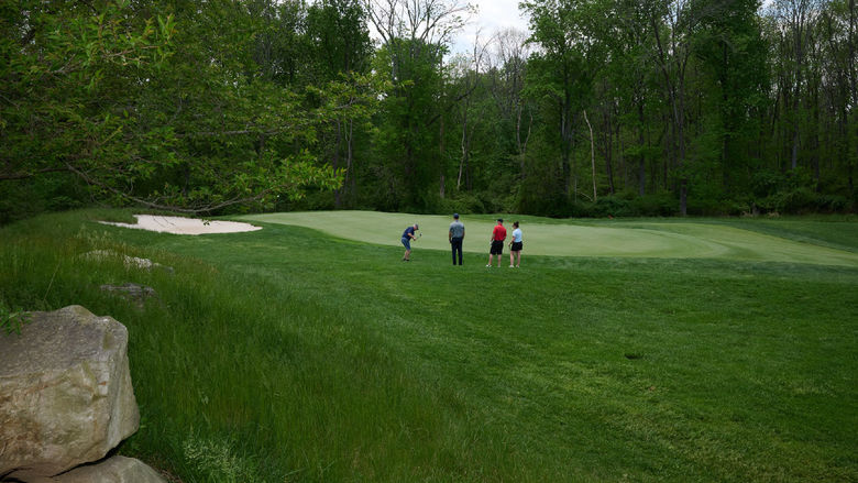 Four people golfing on a large course