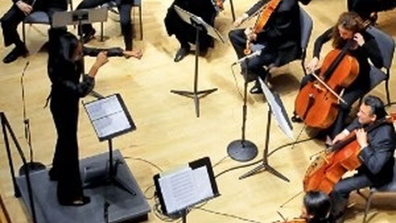 Picture of Black Pearl Chamber Orchestra