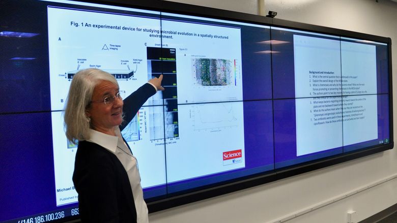 Sarah Ades, associate professor in the department of biochemistry and molecular biology, using Solstice’s ability to display images side-by-side to spark classroom discussion