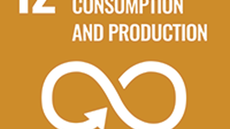 UN Sustainable Development Goal #12: Responsible consumption & production