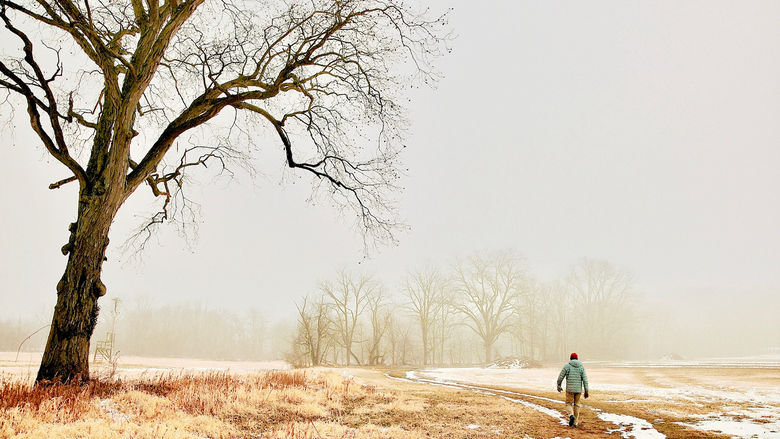 Misty landscape with barren trees, some snow on the ground, and a person walking from the camera