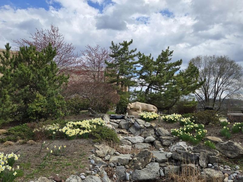 The Nittany lion shrine on Penn State Great Valley's campus, in front of trees and blooming flowers 