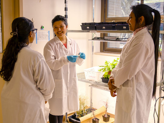 three people in lab coats standing in agricultural lab
