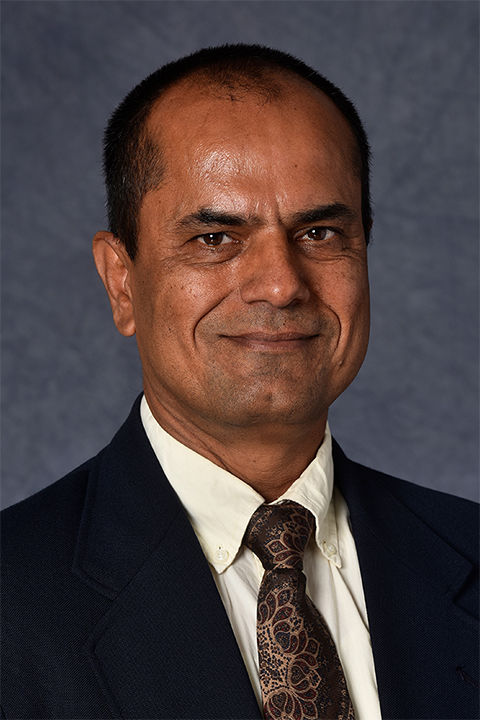 Raghu Sangwan headshot