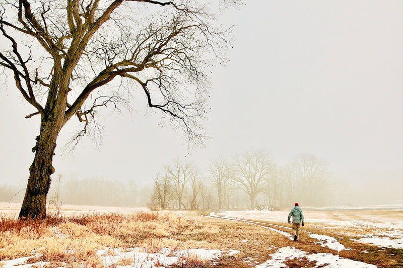 Misty landscape with barren trees, some snow on the ground, and a person walking from the camera
