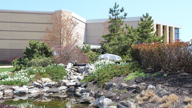 Campus waterfall with lion statue