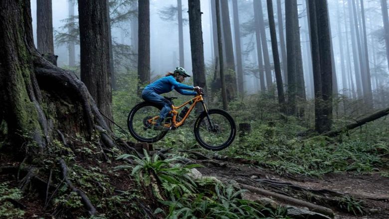 A person riding a bike in a foggy forest
