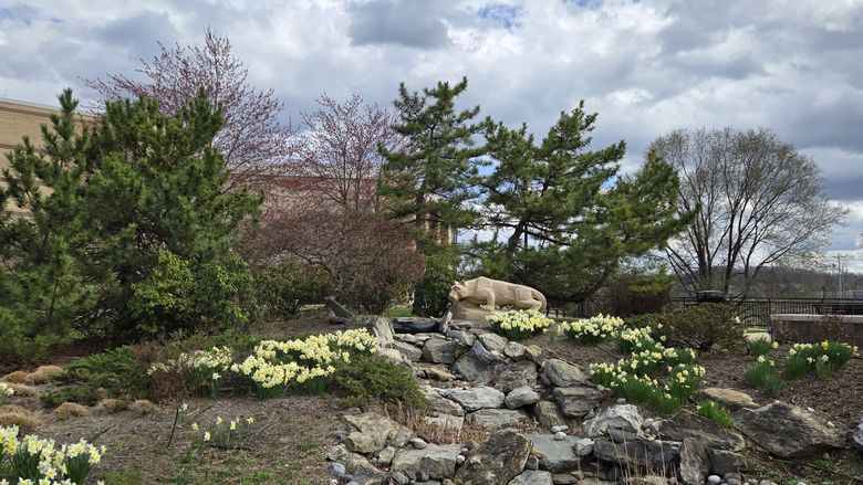 The Nittany lion shrine on Penn State Great Valley's campus, in front of trees and blooming flowers 