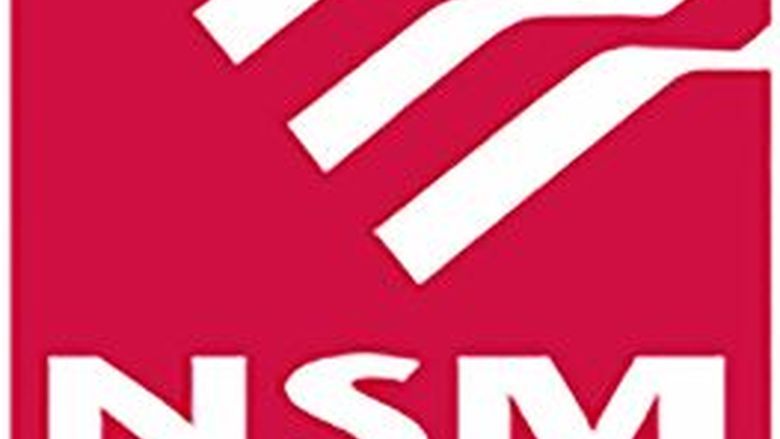 NSM Insurance Group Logo