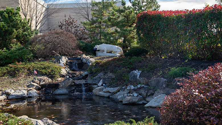 Nittany Lion statute surrounded by plants with a waterfall and pond in front