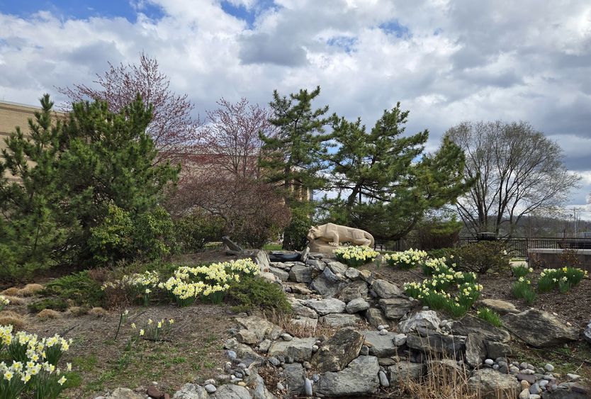 The Nittany lion shrine on Penn State Great Valley's campus, in front of trees and blooming flowers 