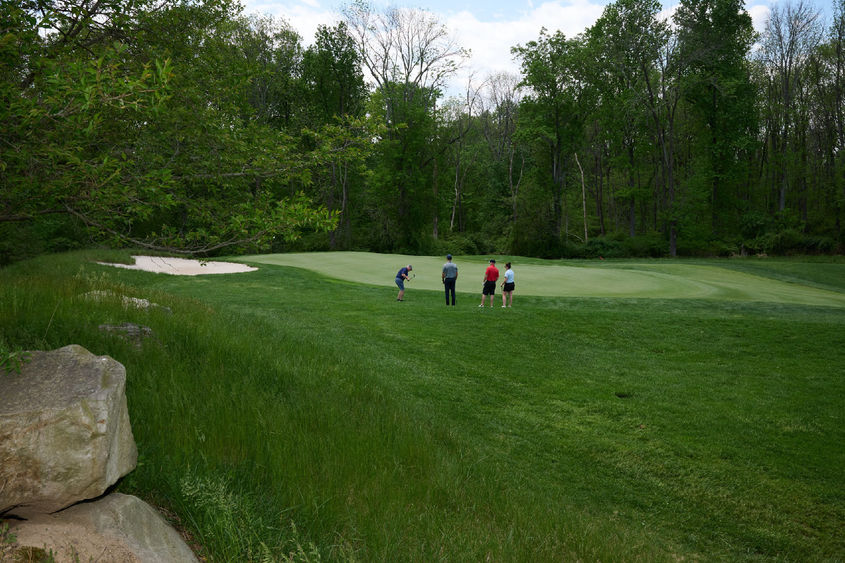 Four people golfing on a large course