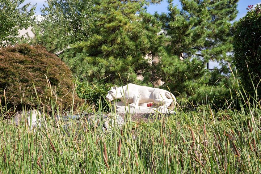 Nittany Lion statue nestled among trees, bushes, and plants